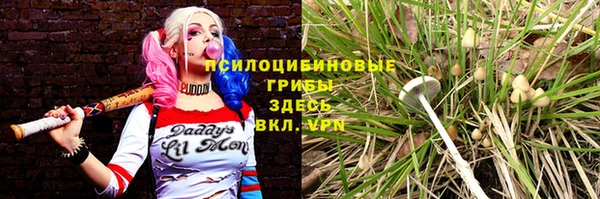 MDMA Белокуриха