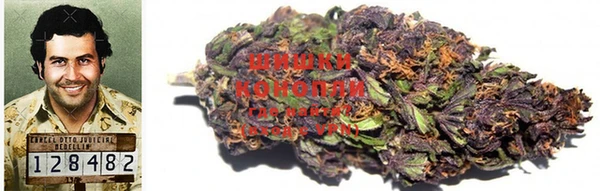 эйфоретик Коряжма